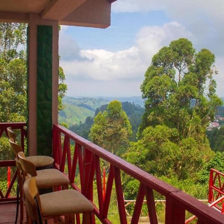 Hotel Natura Cocora Salento Exterior photo